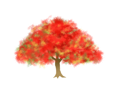 赤い花の鳳凰木
