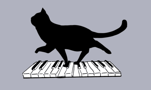 鍵盤の上を歩く猫